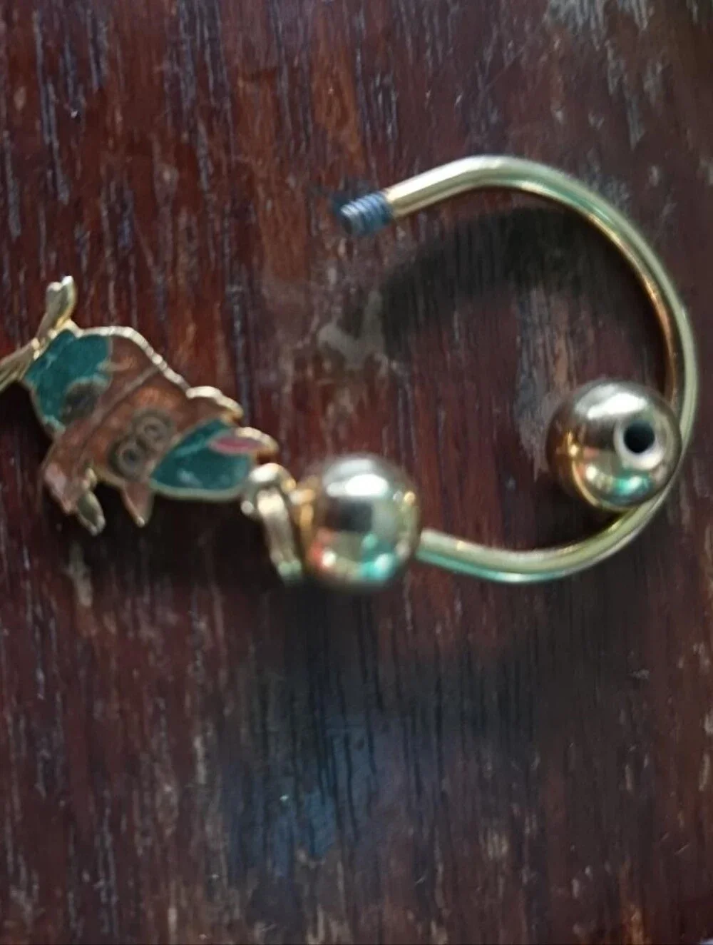 Vintage 1970s Woodsy Owl Enamel Horseshoe Screwball Key Ring NOS Vintage Gift